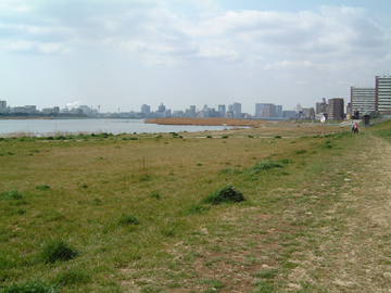 六郷土手写真その1