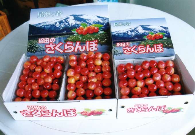 �������ڂ̉��ϔ�