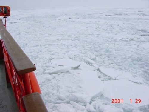 �K�����R���ɏ����