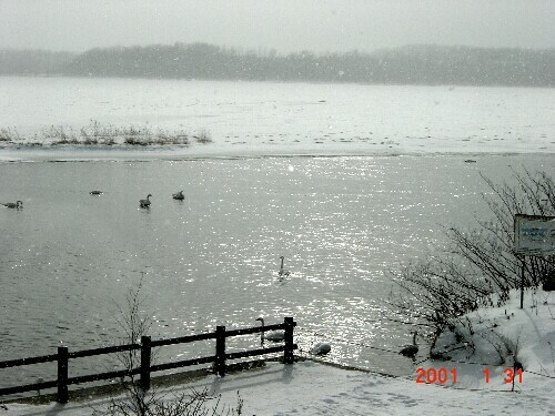 �ԑ���������