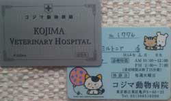 コジマ動物病院 新旧