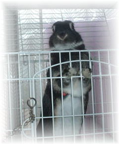 �˂˂��@���x�͂ǂ�ȁA���̂������ƁH�����������ƁH