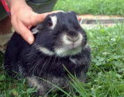 �C�W�C�W�҂������`�`�`�`