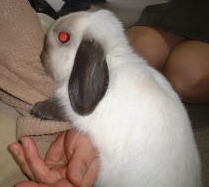 こ、この腕なんだか誘われちゃう(*^_^*)