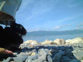 ここがいいぴ♪