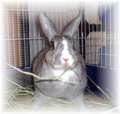 いらっしゃ〜い♪私が姫よ(^^)