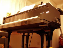 一日の生活イメージ