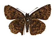 �S�h�}�T�U�i�~�E�������Z�Z�����\