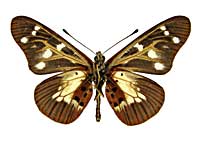 �I���A�X�z�\�`���E����