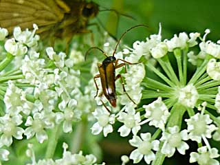 �^�o�R�����z�N�`�`�r�n�i�J�~�L��