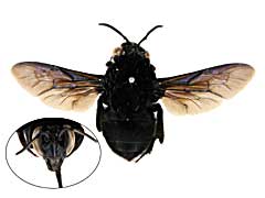 sp25�N�}�o�`��