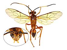 ge92�q���o�`��