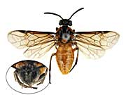 �j�O���m�h�T�`���E�����W��