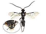 ge91�q���o�`��