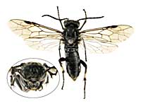 ge42�n�o�`��