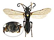 ge97�q���o�`��