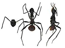 sp9�g�Q�A��w