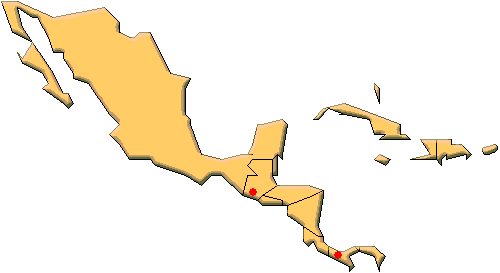 ���L�V�J�i�L�`���E�̍̏W�n