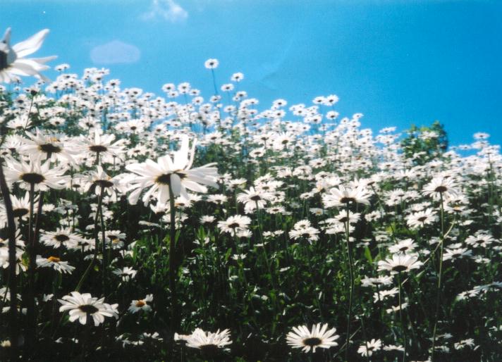 �m�X�E�^�@�E���W�A