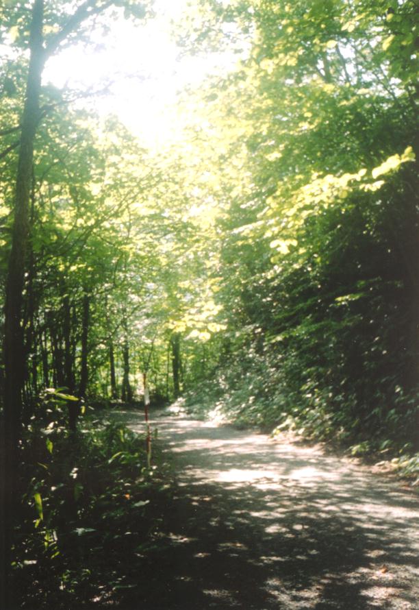 �N��������