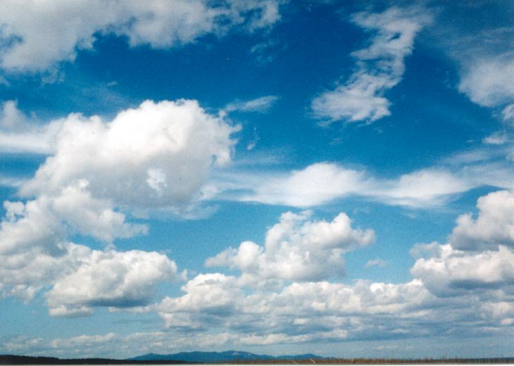 �N���D��