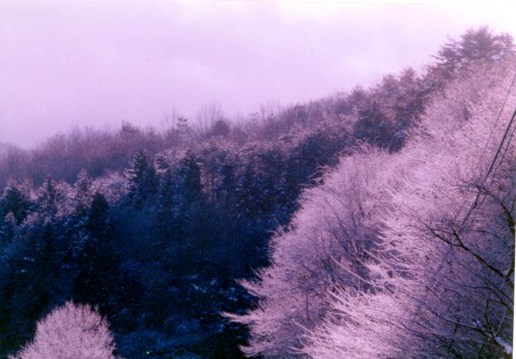 ����܂���