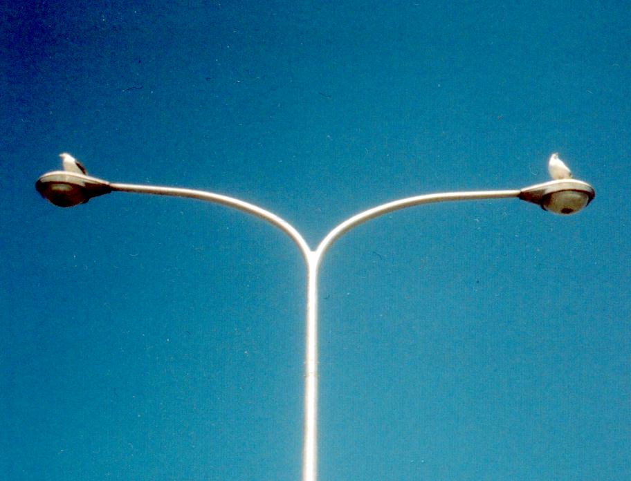 ��������Ȃ���l�ɂƂ��ā@���ׂĂ����Ӗ��ɂȂ�