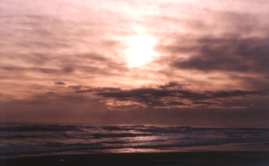 �u���E���V���K�[