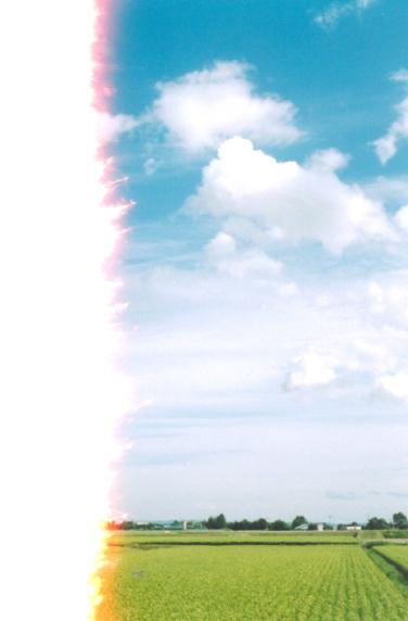 �ʐ^�̈ꖇ��