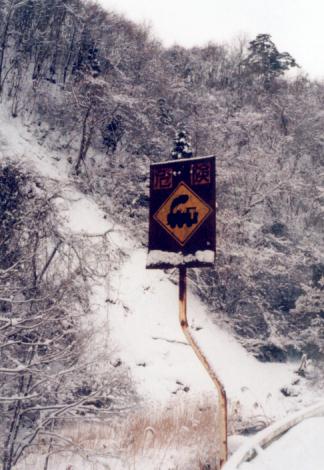 ���g�댯�W��