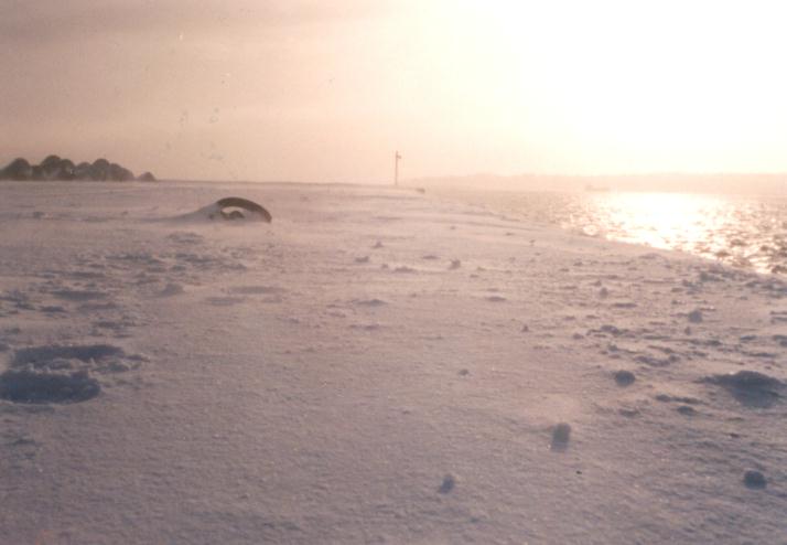 ���Ⴋ�̌�̒�