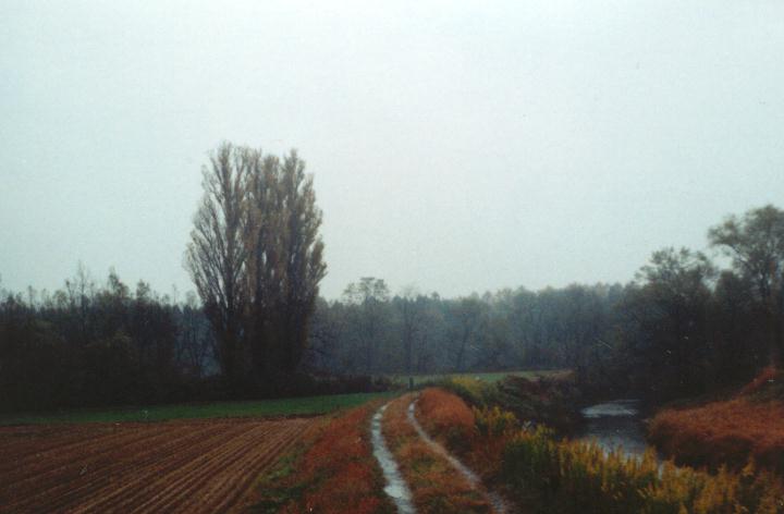 �H�̌l���͏����Ȑ��