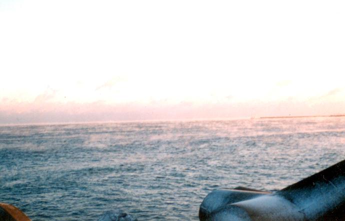 �u�悤S��Ƃ肠����������������\���g�e�C�X�g