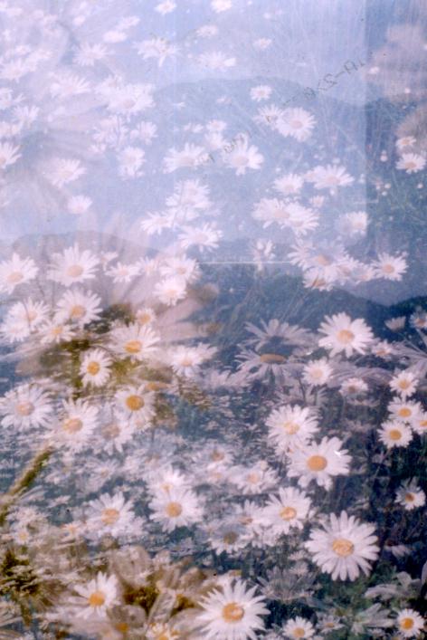 フィルムのジャムです