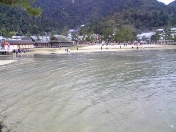 �����_�� ����