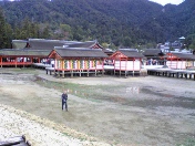 �����_�� ����