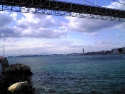 �ޗ�������