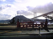 �݂����������