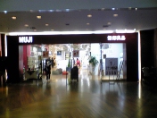 ����Ǖi�L���i���V�e�B�[����