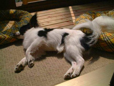 �����Q��