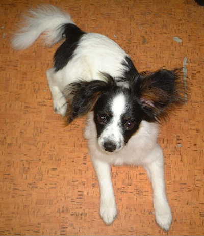 ������~������`�`