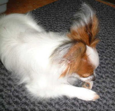 ������ꒆ