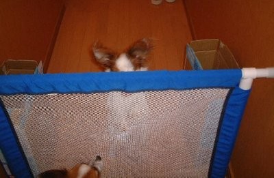 �����ƃ��[��