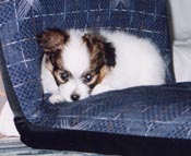 ����邿���ł�