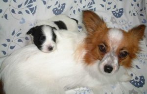 �����ƃA�[�X