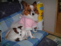 �����ƃ��[��