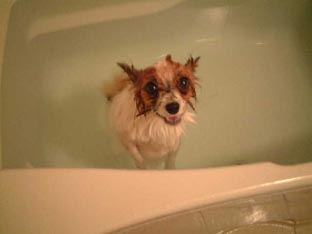 ����������