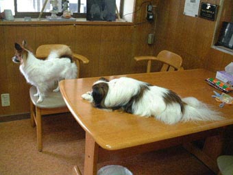 �s�N����