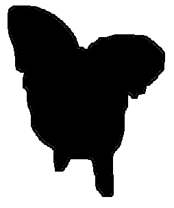 ���j���[�ɖ߂��