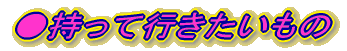 ●持って行きたいもの